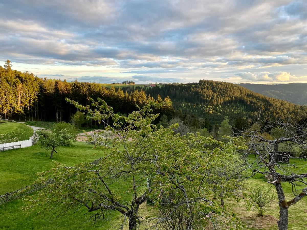 Ferienhaus Mit 5* Luxus Im Schwarzwald Aichhalden Bagian luar foto
