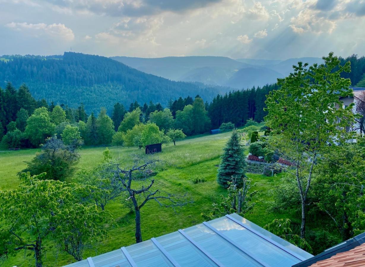 Ferienhaus Mit 5* Luxus Im Schwarzwald Aichhalden Bagian luar foto